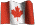 Casa schimb valutar Arad - Dolar canadian